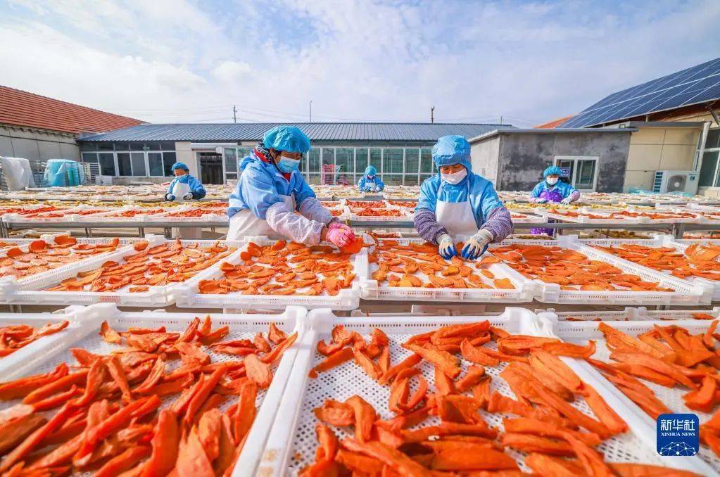 标准股份最新股东户数环比下降17.61%