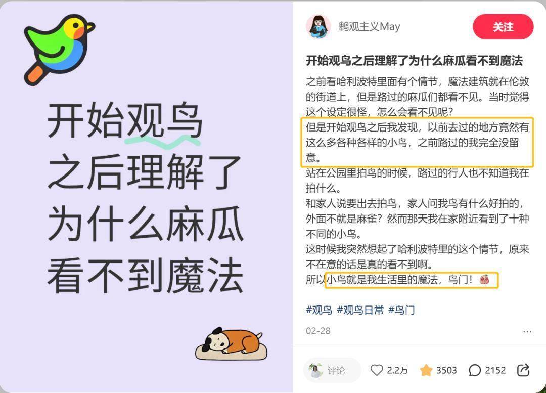 “鸟门”走热:宠物鸟为何成年轻人“新宠”