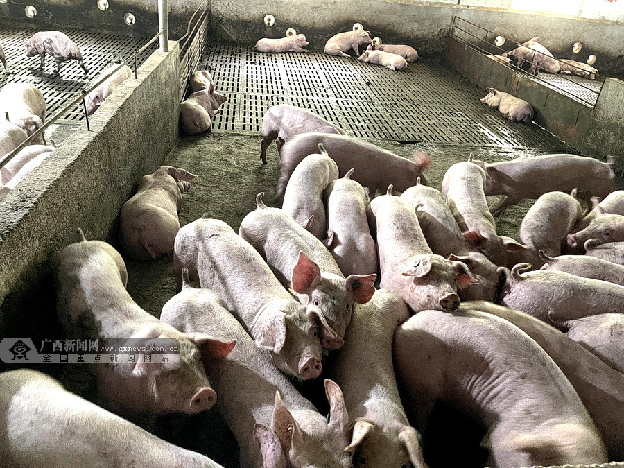 天康生物：拟收购羌都畜牧51%股权 加速推进生猪产业发展