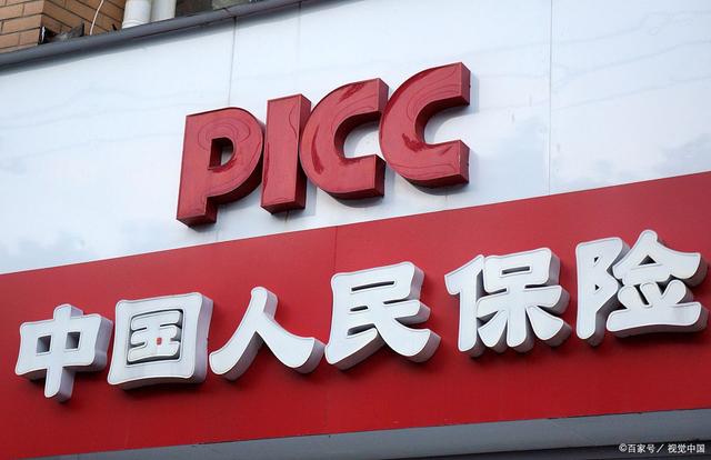 2025中国代餐行业市场全景调研及供需格局、未来前景分析_人保车险,人保有温度