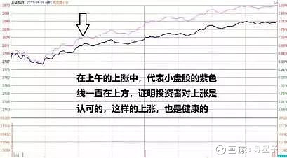 养鸡概念涨2.87%，主力资金净流入14股