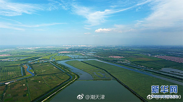 天津七里海湿地生态产品价值突破150亿元