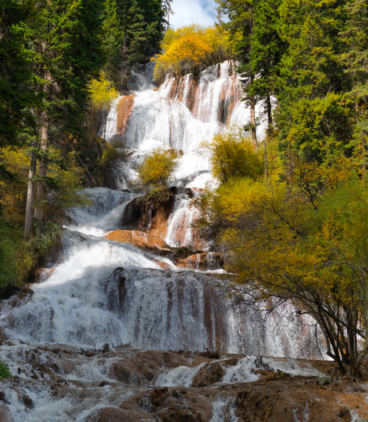暑期台山迎旅游旺季 侨乡特色“马屎苋”汤受青睐