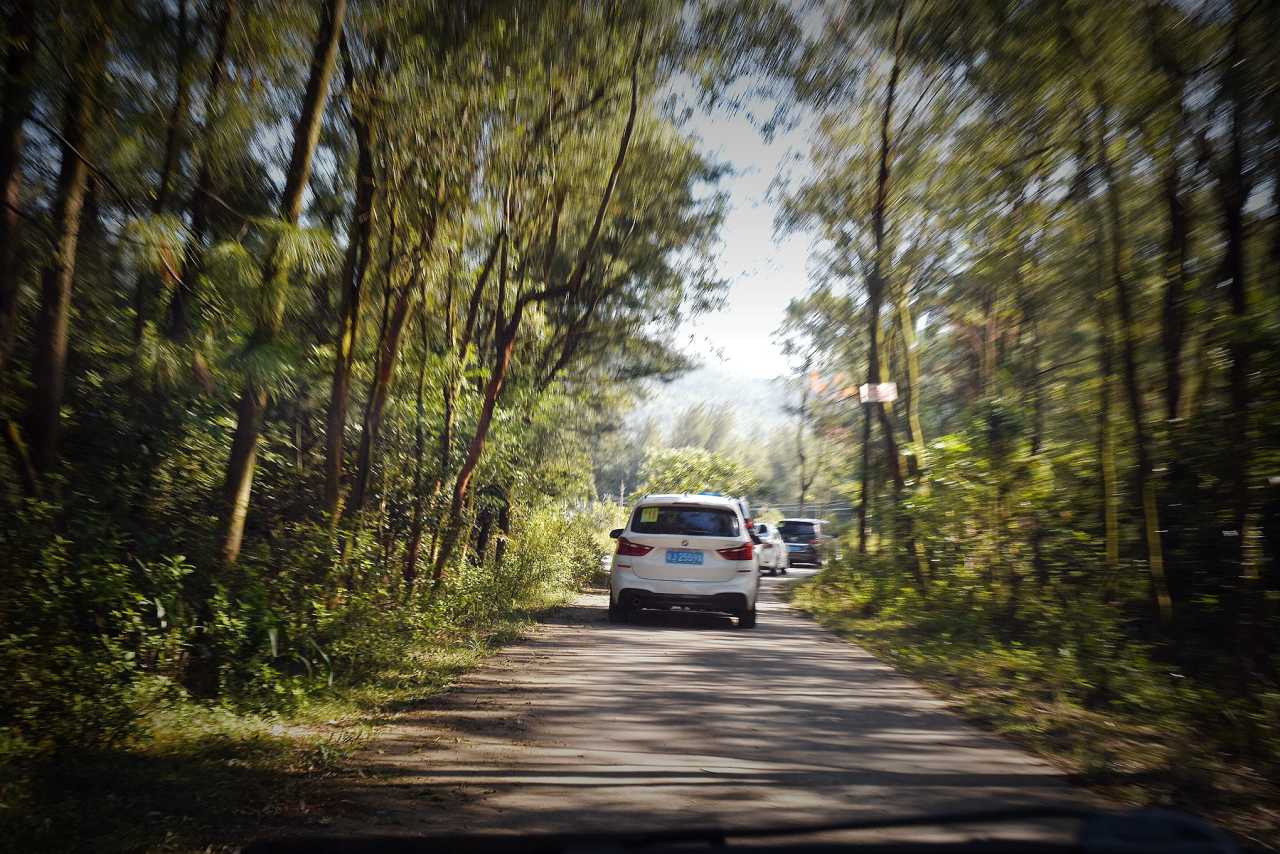 暑期台山迎旅游旺季 侨乡特色“马屎苋”汤受青睐