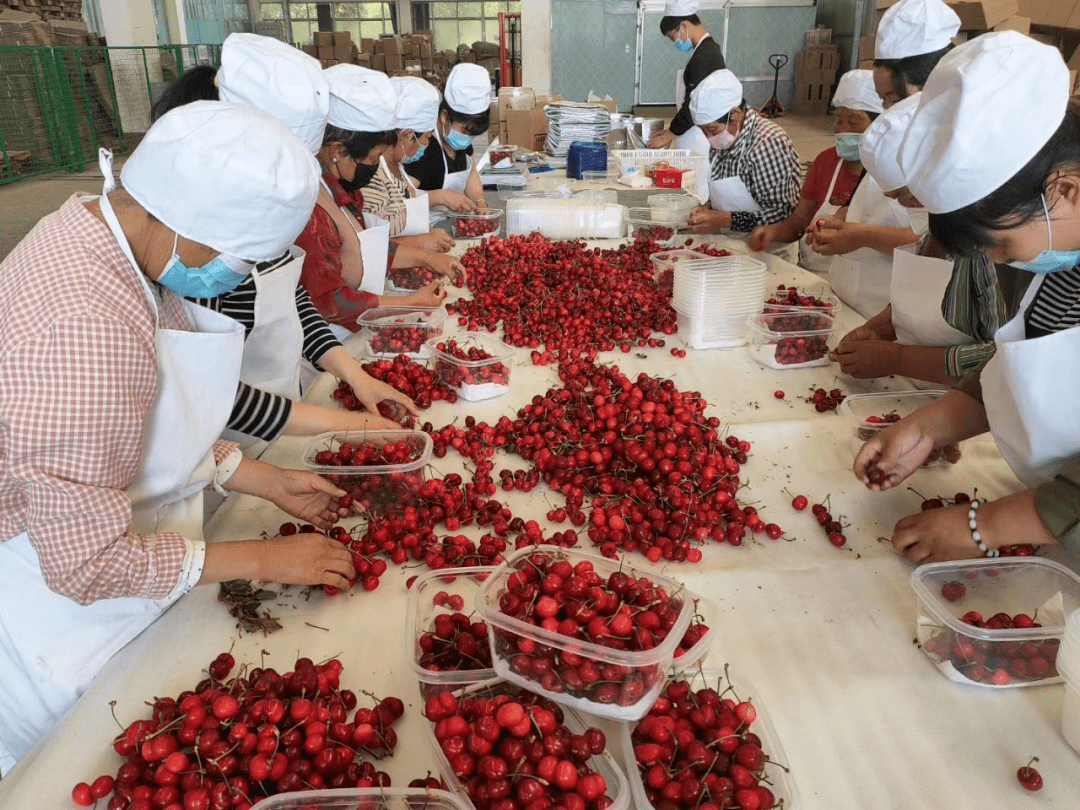 康欣新材发行乡村振兴中小微企业支持高成长产业债