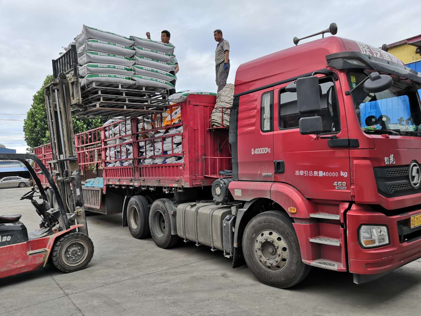 中国浓缩料预混料行业：2025从“粗放增长”到“精准升级”的转型阵痛_人保服务,人保财险 