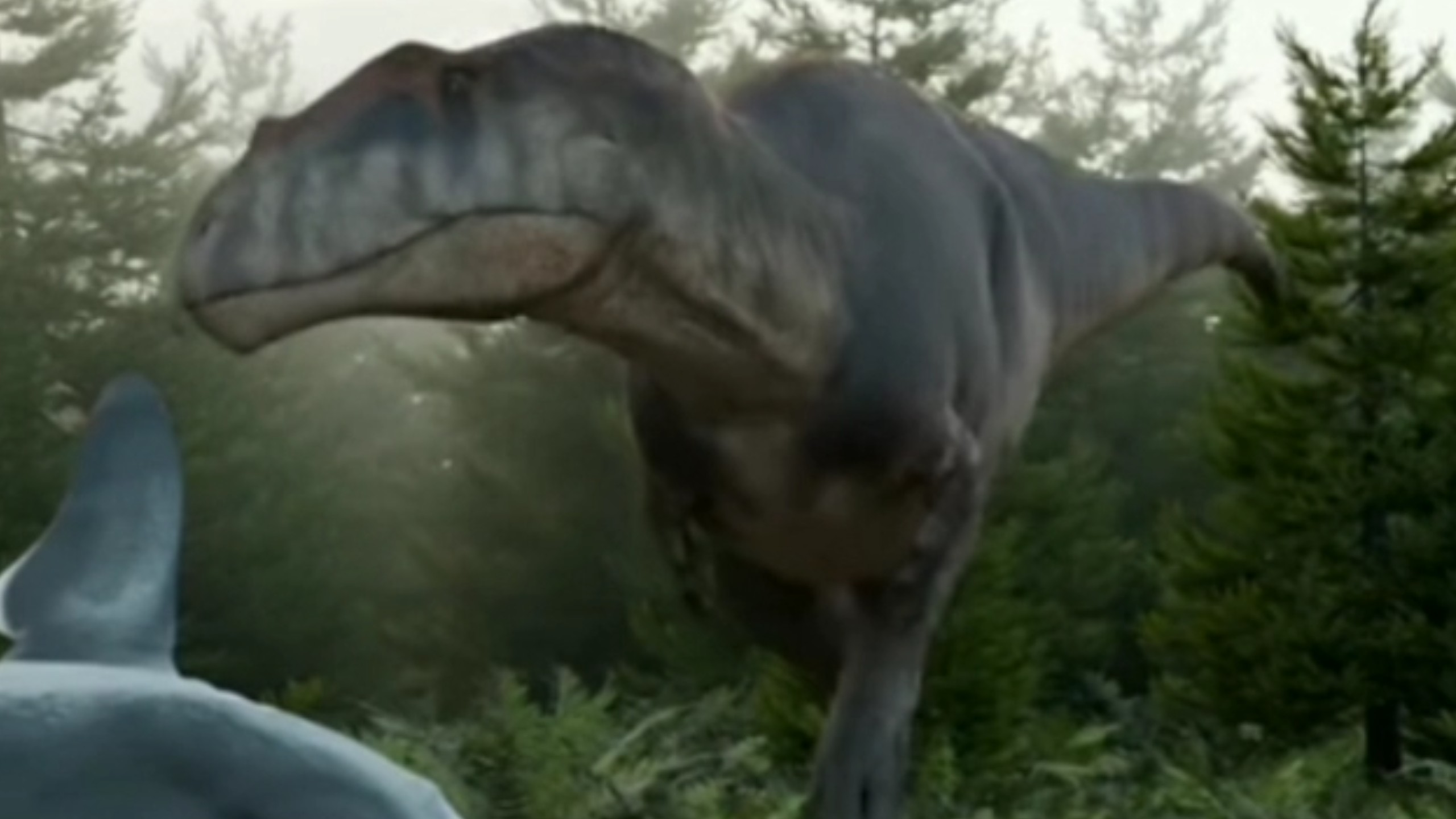 阿根廷新发现南美捕食性恐龙化石 属白垩纪晚期兽脚类大盗龙科