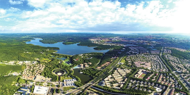 长春高新押注脱敏市场求解背后:集采压价与竞争加剧成掣肘,核心子公司金赛药业靠生长激素难支业绩