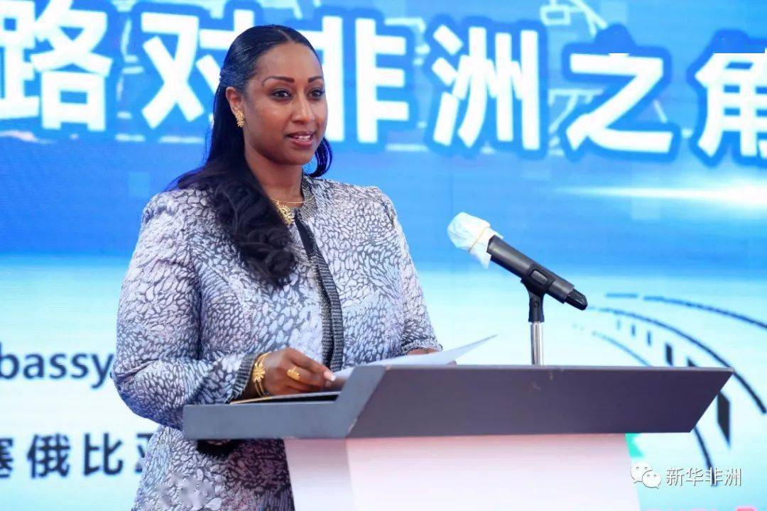 李乐成率团访问埃塞俄比亚并出席中非数字和新兴产业合作研讨会