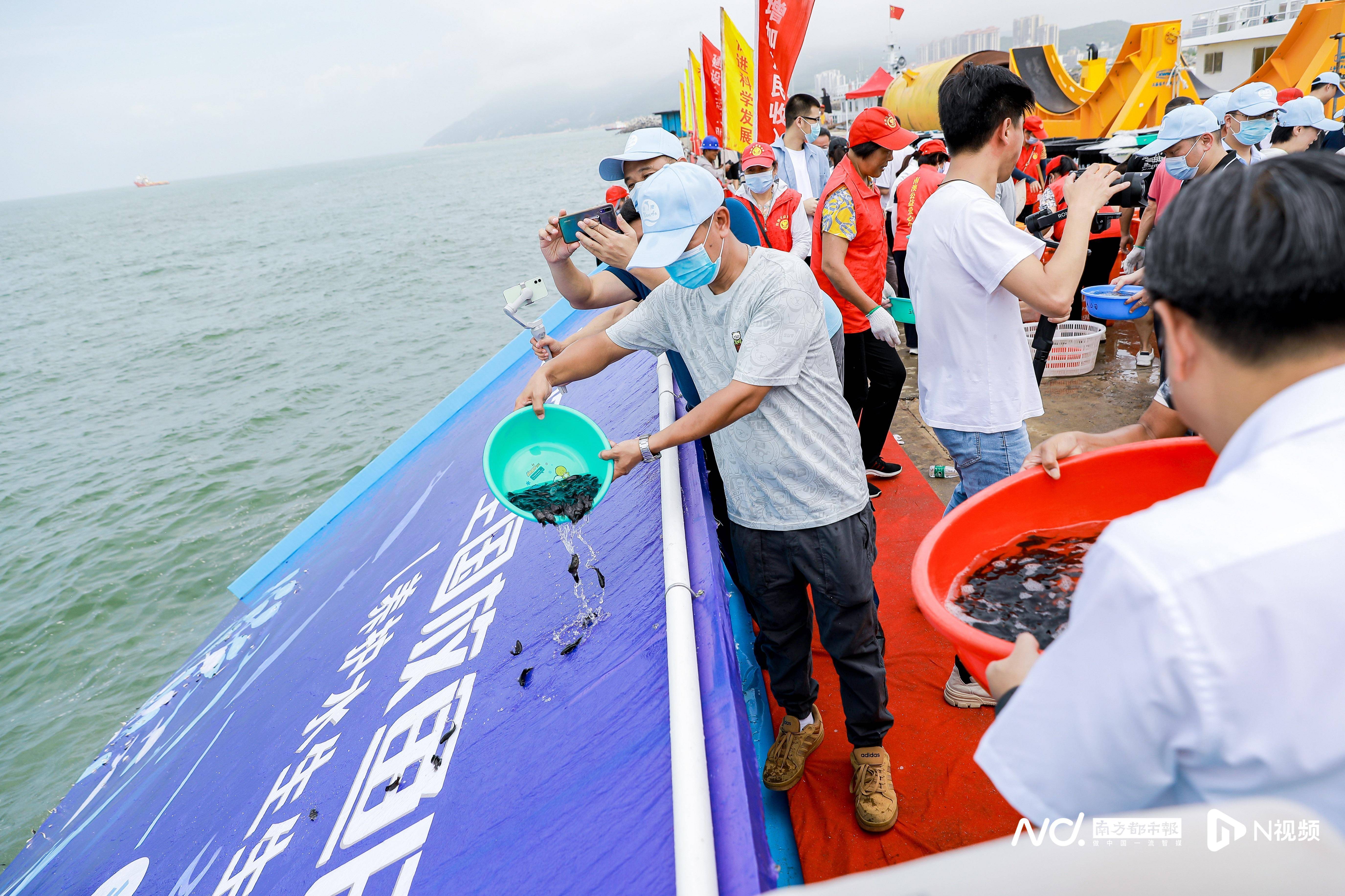 “十三五”以来 浙江放流海洋水生生物苗种超300亿单位