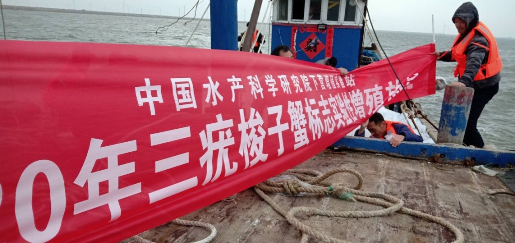 “十三五”以来 浙江放流海洋水生生物苗种超300亿单位