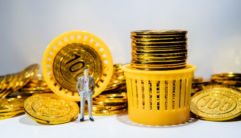 上海钢联：中报靠政府补贴，业务营收全线下滑，供应链服务微利难支业绩