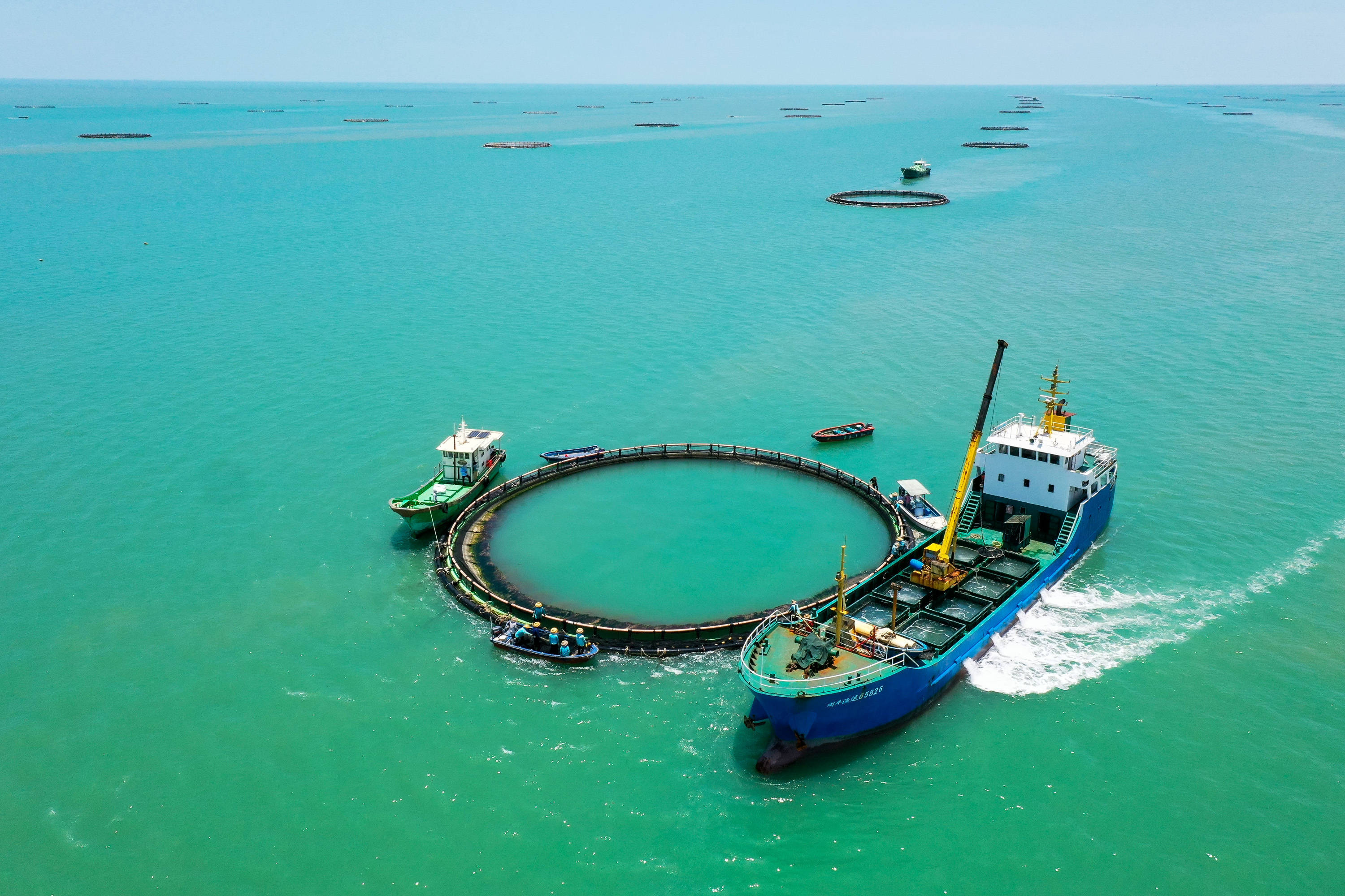 2025中国深海养殖行业深度研究及未来发展趋势预测_保险有温度,人保车险