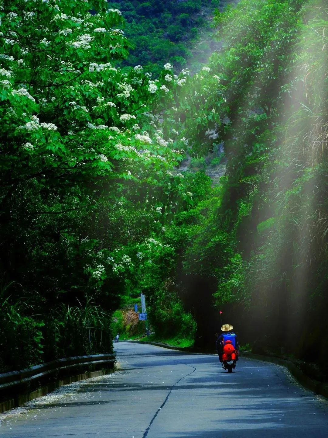 “黄金周”里邂逅福建宁德：山海相约 古村新韵