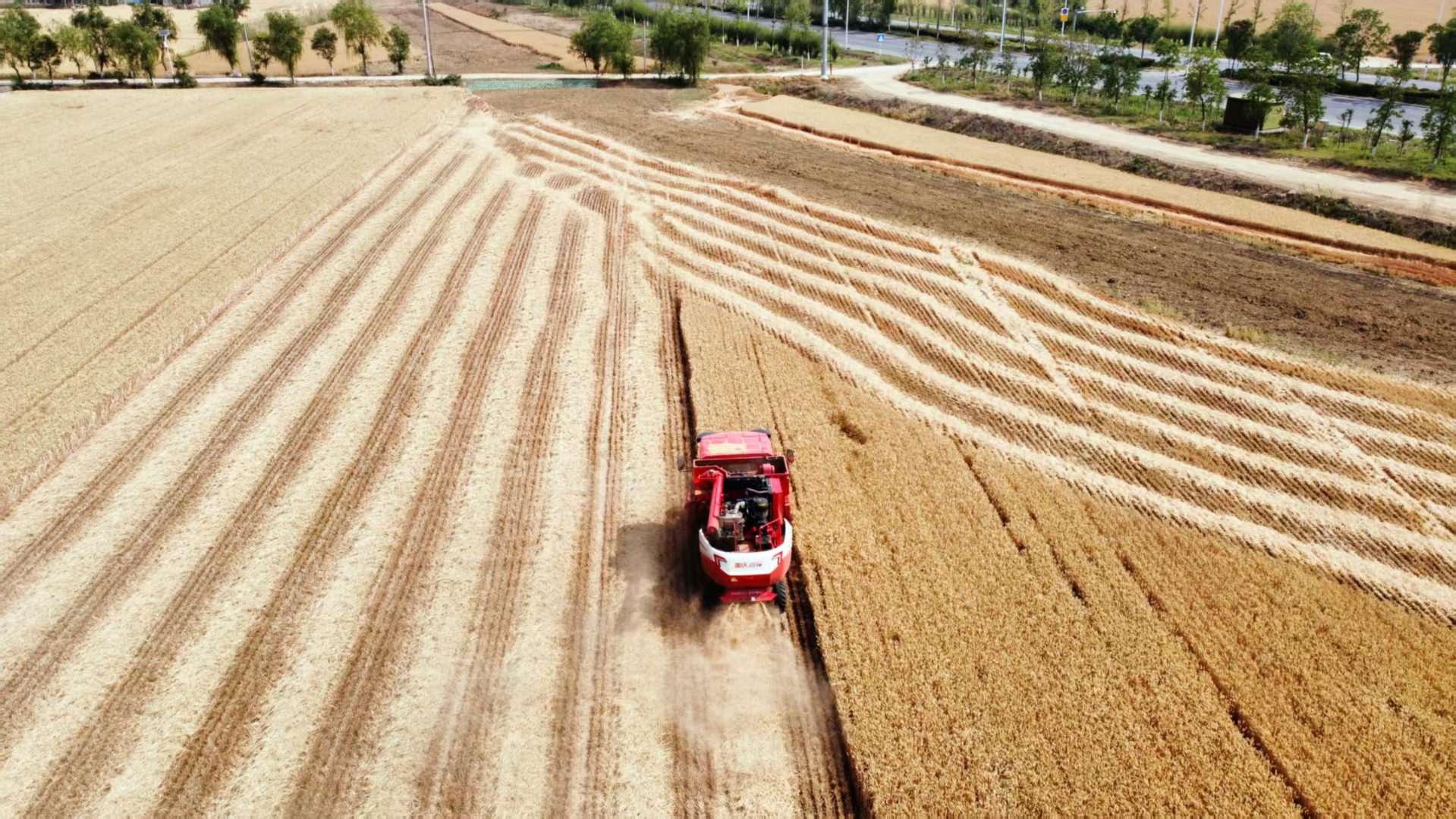 农业农村部紧急调剂调运救灾机具保障黄淮地区秋粮抢收抢烘