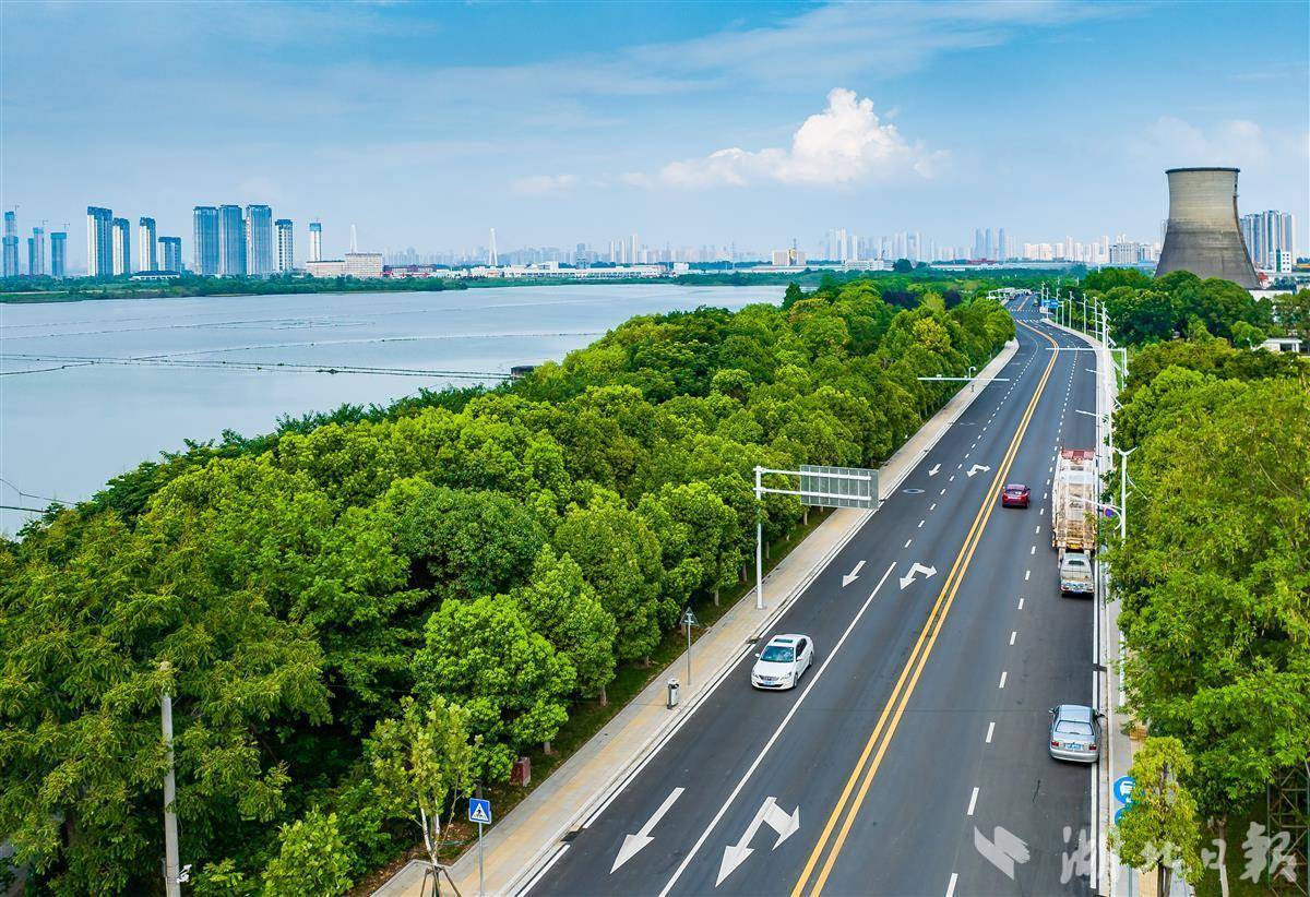 人保车险,拥有“如意行”驾乘险,出行更顺畅!_2025中国当归种植行业现状及未来前景、投资趋势预测