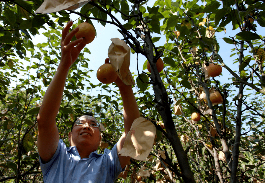 山西吕梁集中发布三部条例 守护绿水青山与向善力量
