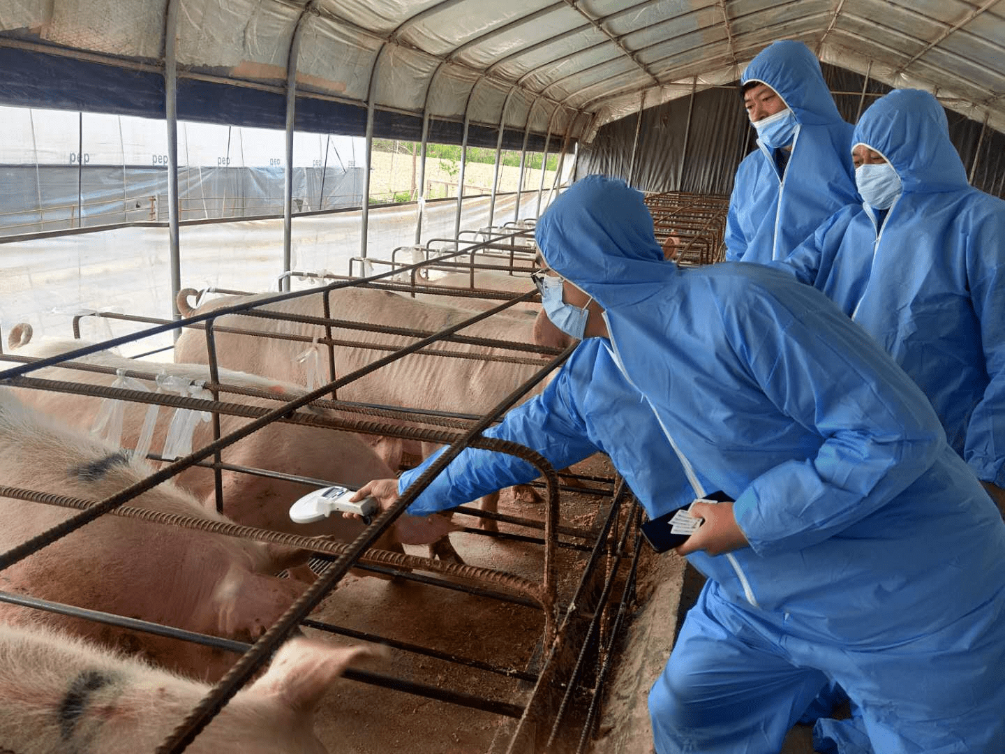 综合农业行业现状与发展趋势分析_人保财险 ,人保护你周全