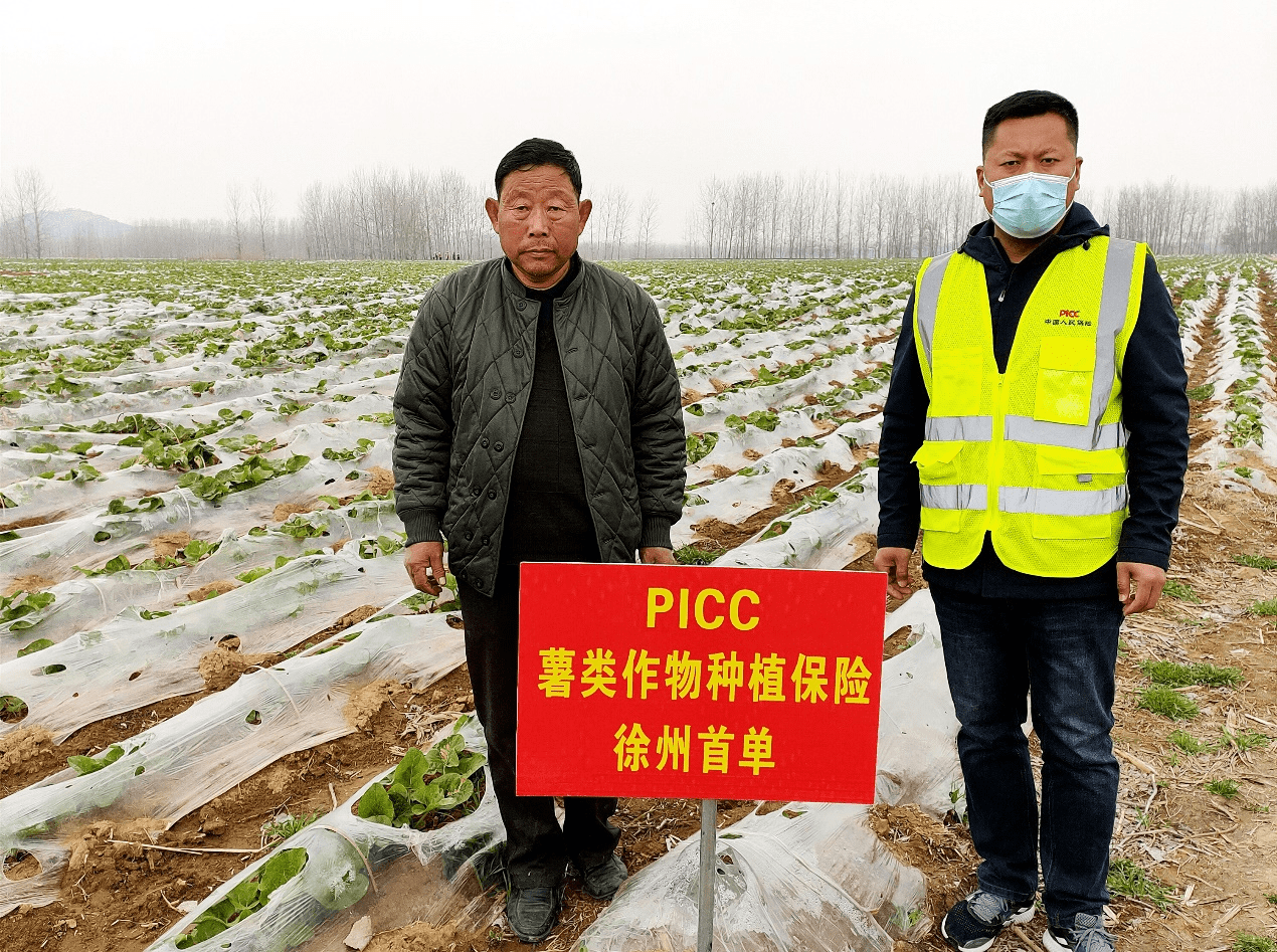 综合农业行业现状与发展趋势分析_人保财险 ,人保护你周全