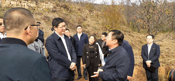 杂粮行业现状与发展趋势分析_人保财险政银保 ,人保财险