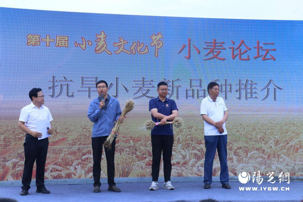 (乡村行・看振兴)福建清流:秋粮收购忙 颗粒尽归仓