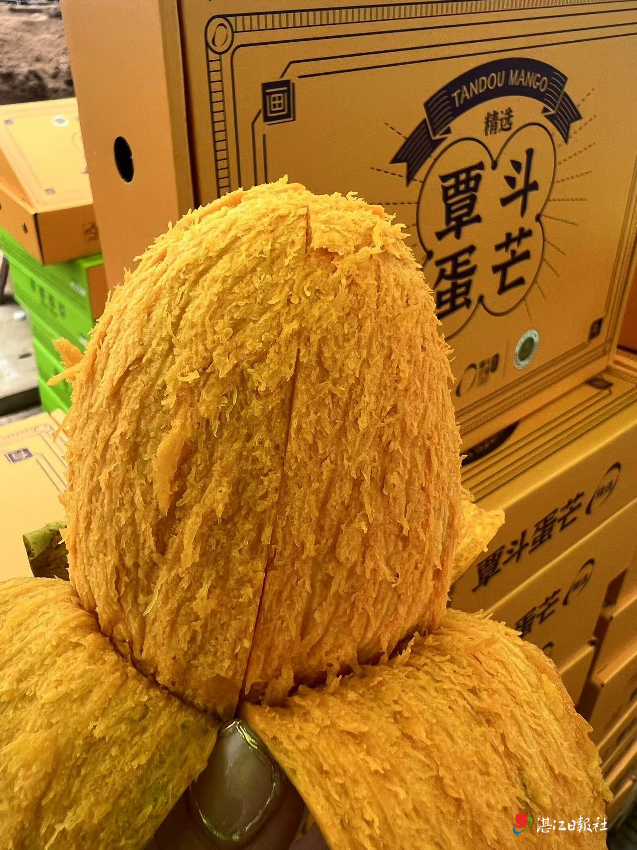 芒果超媒：前三季度净利润同比下降29.67%