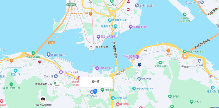 张勇香港买豪宅:总价5354万港元,已交定金267.7万!该处房产去年税后净租金收入超百万