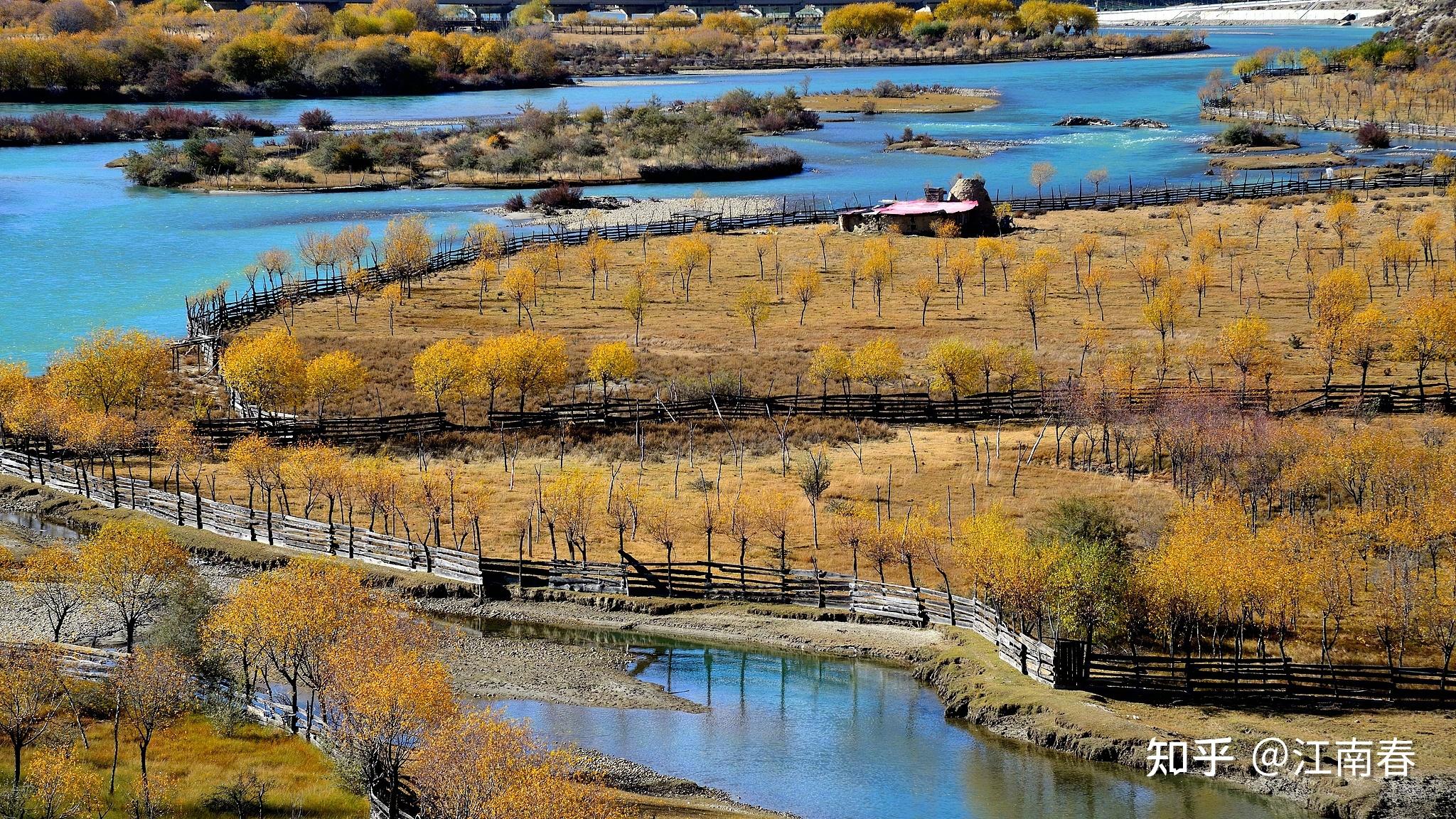 西藏工布江达养鹿基地�出致富新“鹿”径 2025年存栏将到达1000只