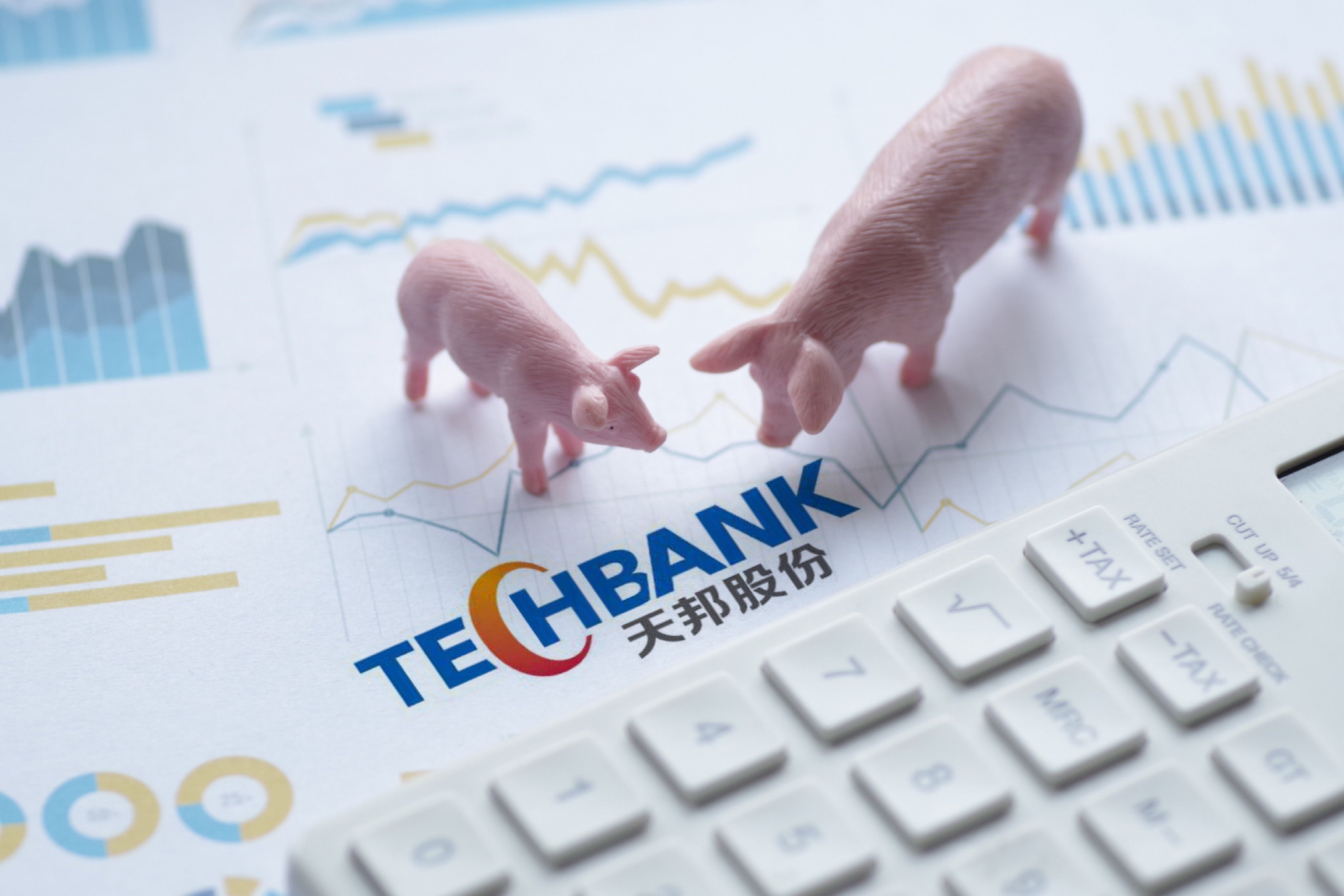 天邦食品（002124）2025年三季报简析：净利润同比下降80.65%