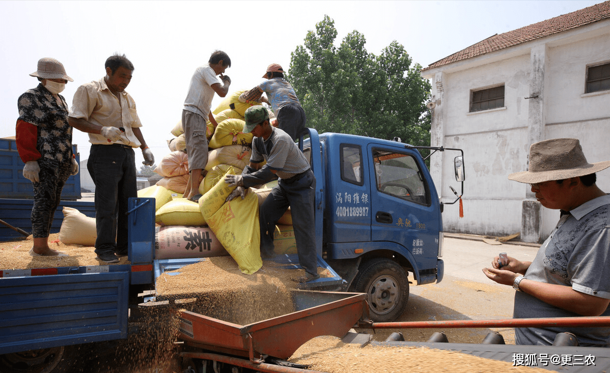 (乡村行・看振兴)山西长治潞城区:机械农技双驱动 晚播小麦破困局