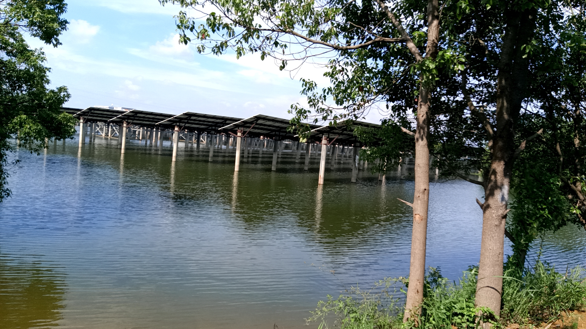 桑植好水走出去，县域经济火起来