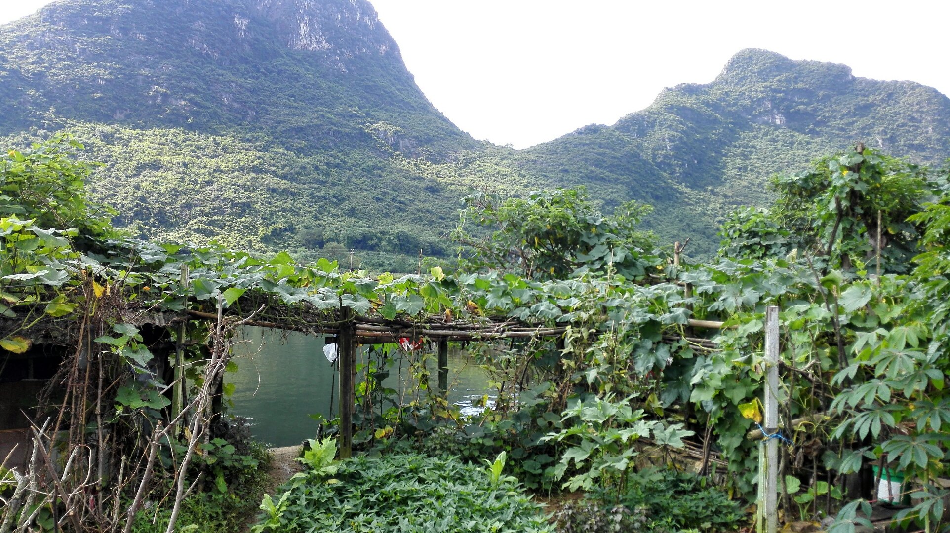 桂林两水库移民村蝶变记：政策产业富农家