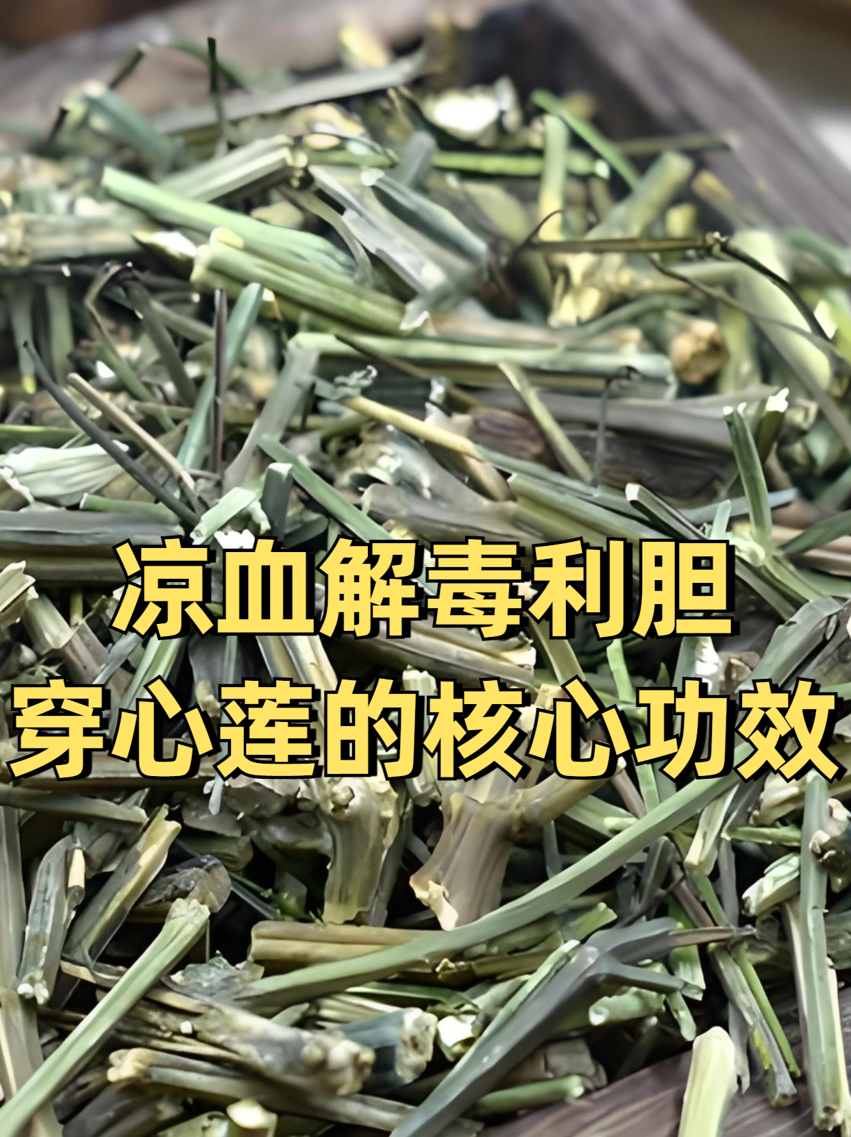 流感用药争议背后的“灵魂拷问”:中医药如何作答成分、机制、疗效三大质疑?