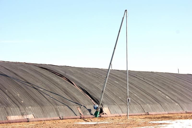 甘肃民勤:科技赋能沙漠寒旱农业