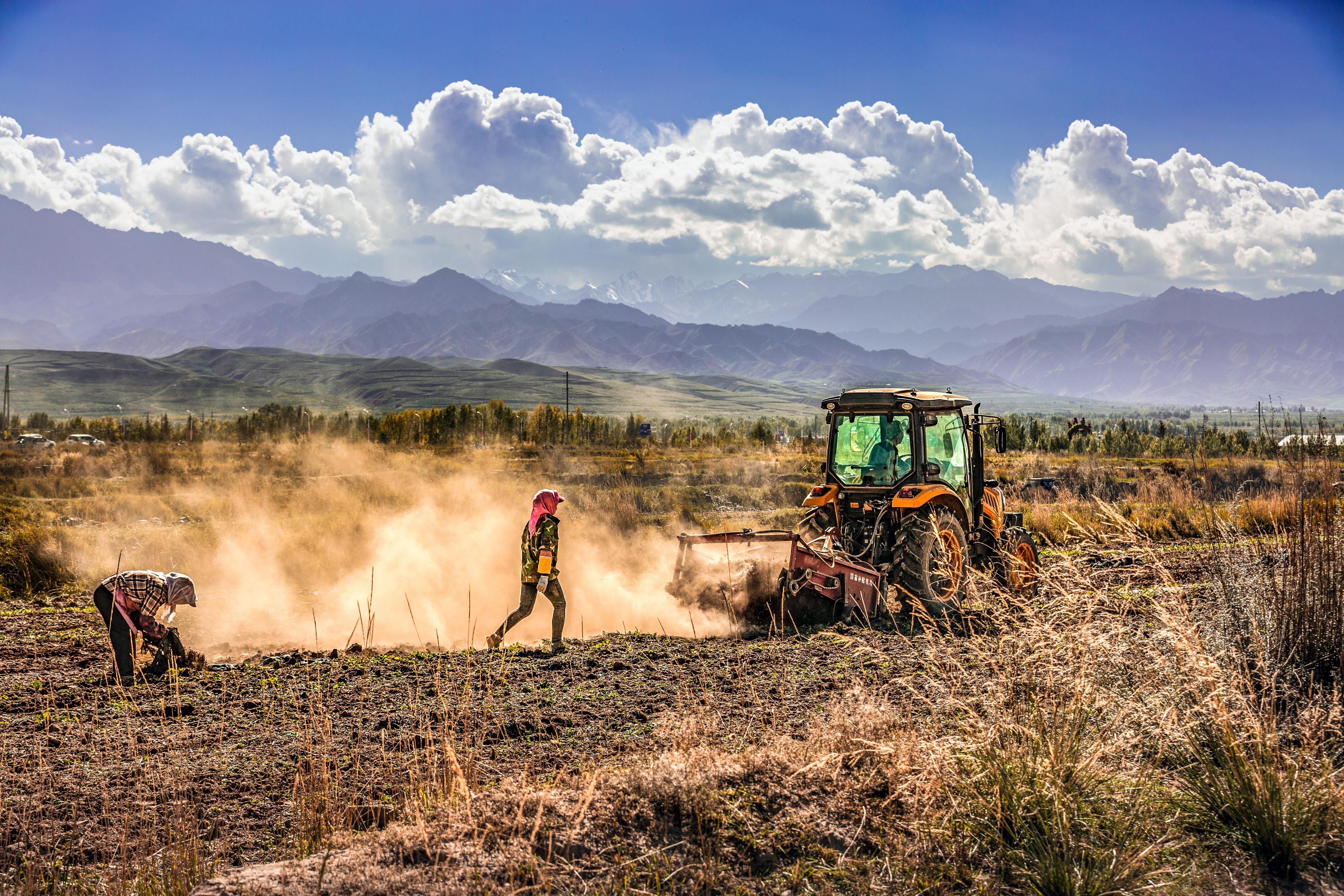 甘肃民勤：科技赋能沙漠寒旱农业