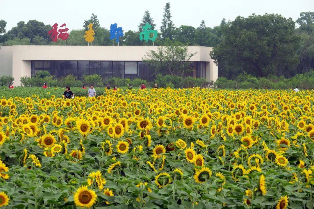 向日葵:公司持有宁波韦尔德斯凯勒智能科技有限公司1.81%股权,参股比例较小