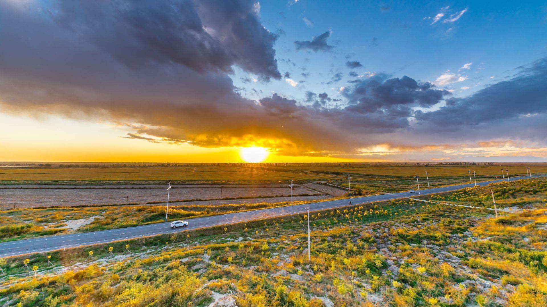 重庆“母城”将多举措深入推进中新合作