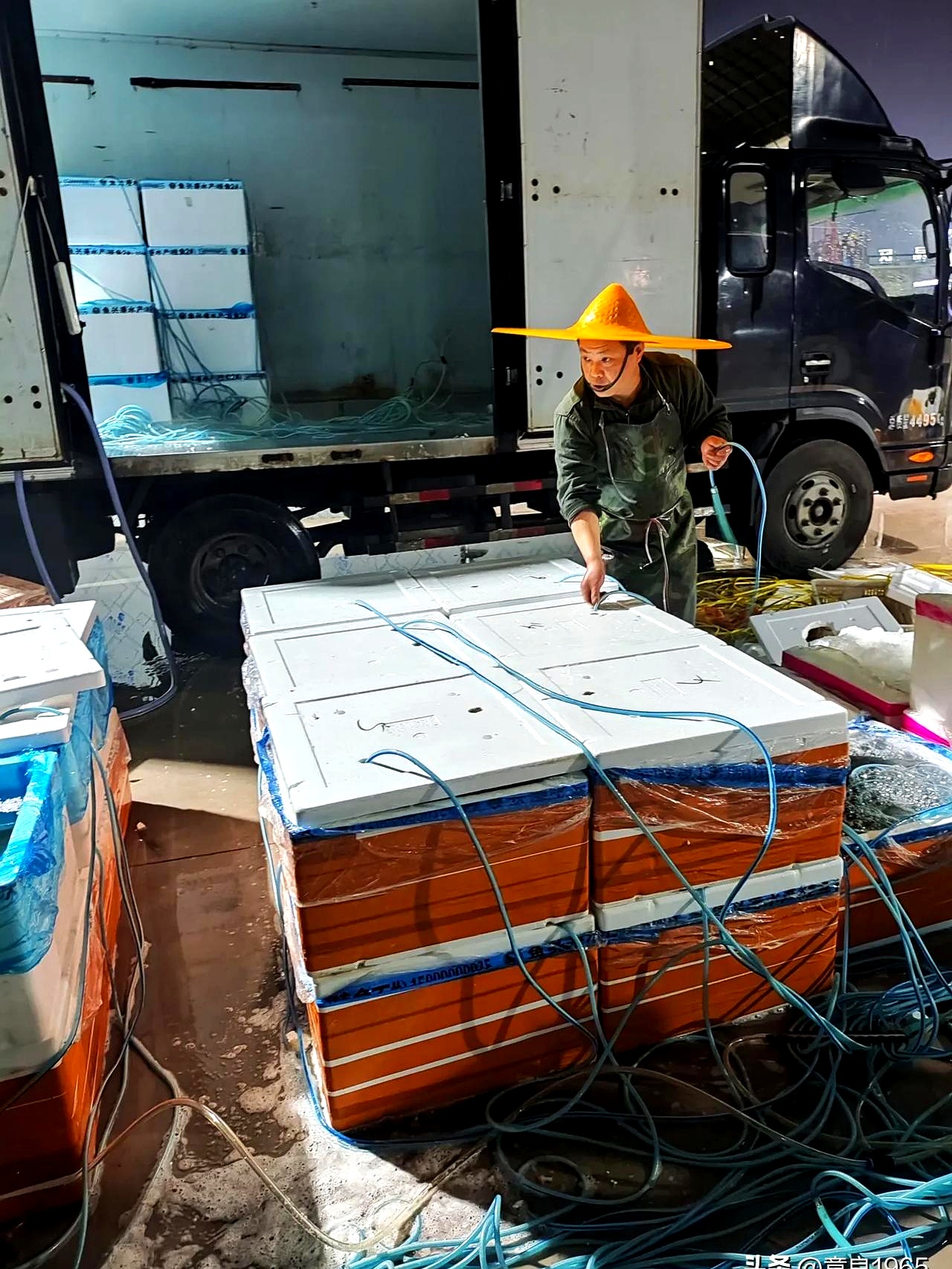 中水渔业跌停，上榜营业部合计净卖出5766.38万元