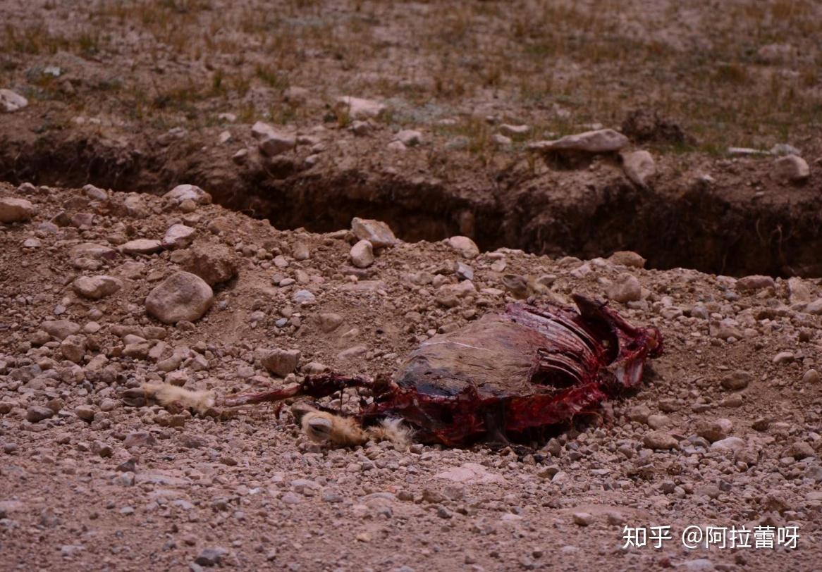 已致146人遇难，仍有100人失联！香港警方：预计当天完成搜索工作