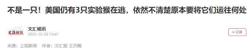 创新药遭遇“窜天猴” 两个月大涨30% 1只实验猴卖12万元仍“有价无猴”