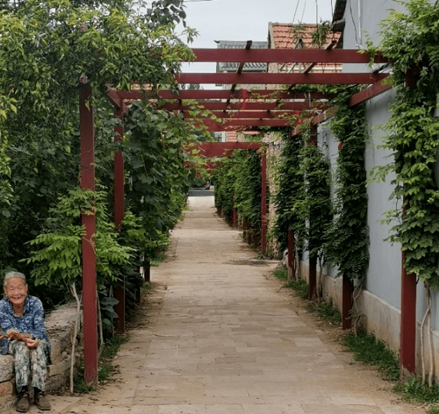 （乡村行・看振兴）内蒙古农村牧区的多重“寒冬保障”