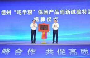 2025年石英砂行业市场深度调研及发展前景预测_保险有温度,人保车险