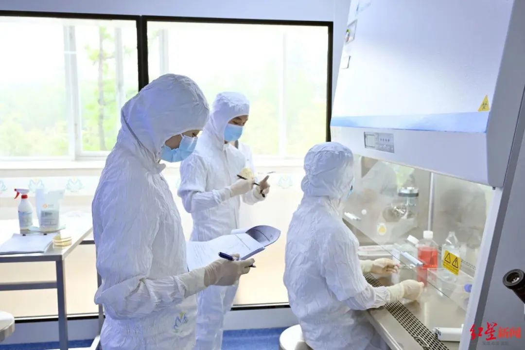 信立泰：SAL0140片治疗慢性肾脏病获批临床试验