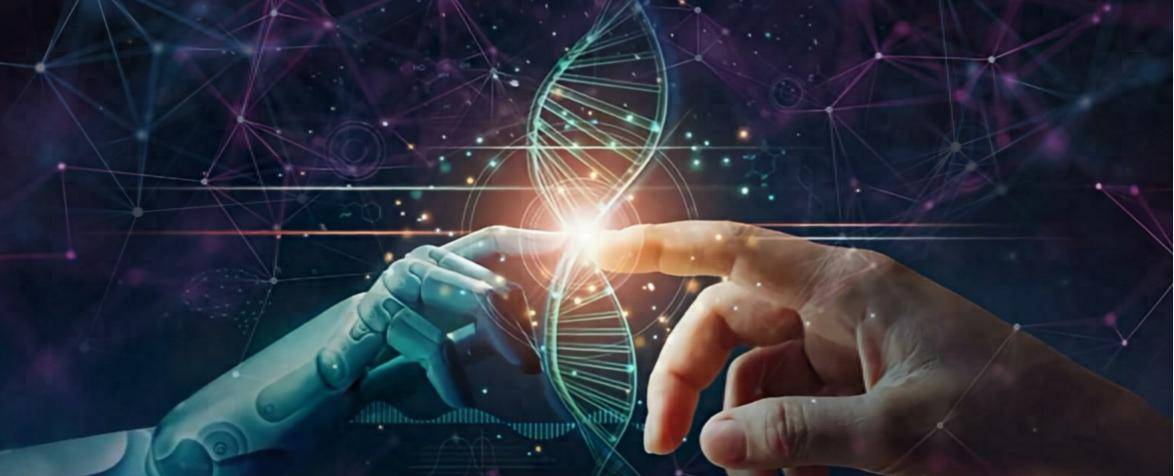 人保服务 ,人保财险政银保 _2025-2030年中国电脑行业：掘金AI PC与国产供应链的黄金五年