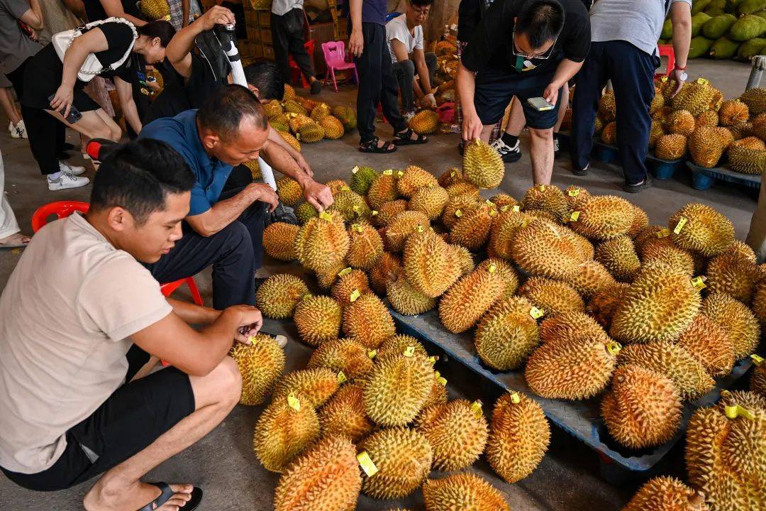 每经记者实探“水果第一股”洪九果品总部：准备恢复经营，后续将逐步公告相关情况