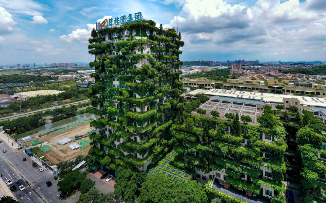 碧桂园服务，高管变动！