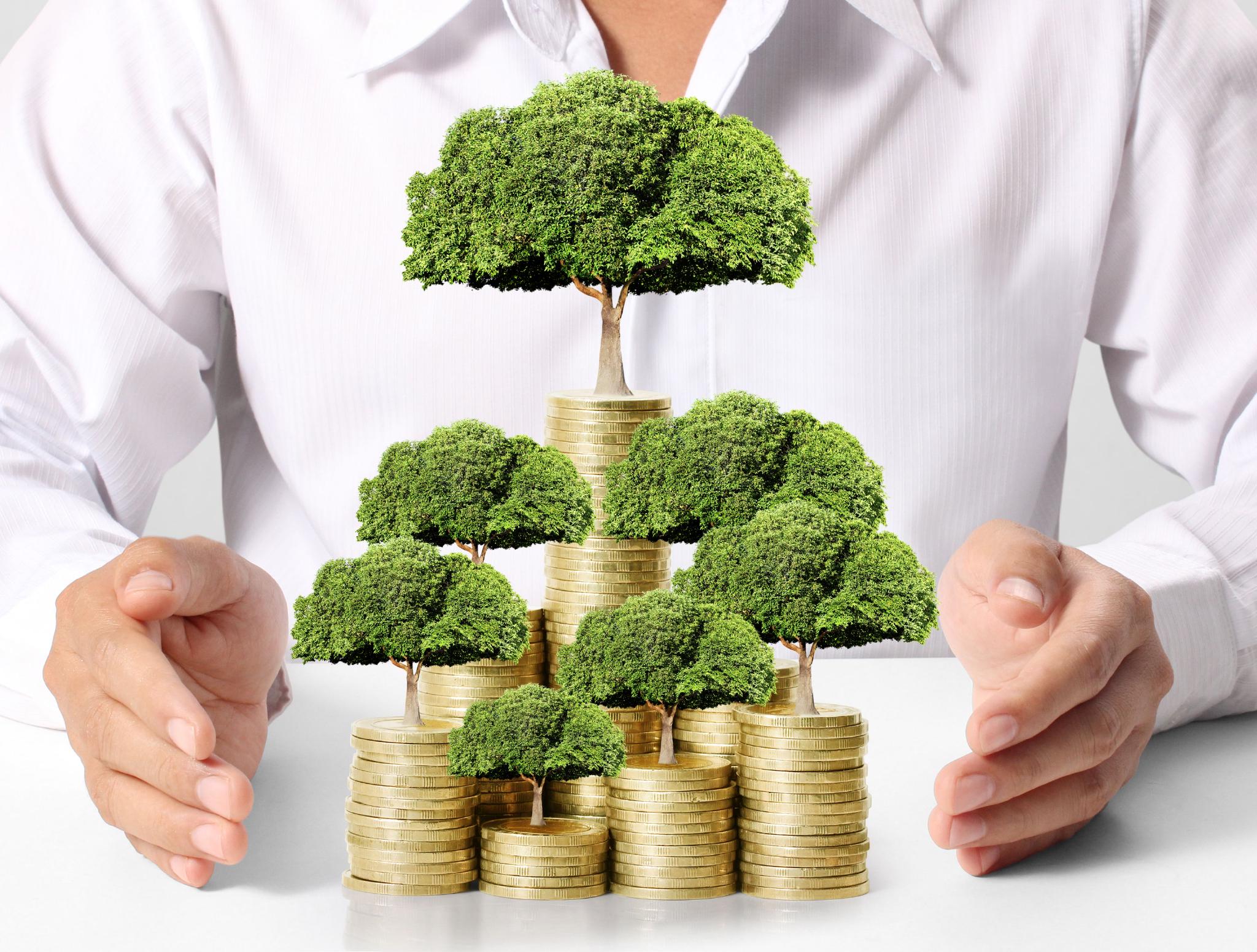 2026年绿色金融行业市场深度调研及投资战略研究_拥有“如意行”驾乘险，出行更顺畅！,人保有温度