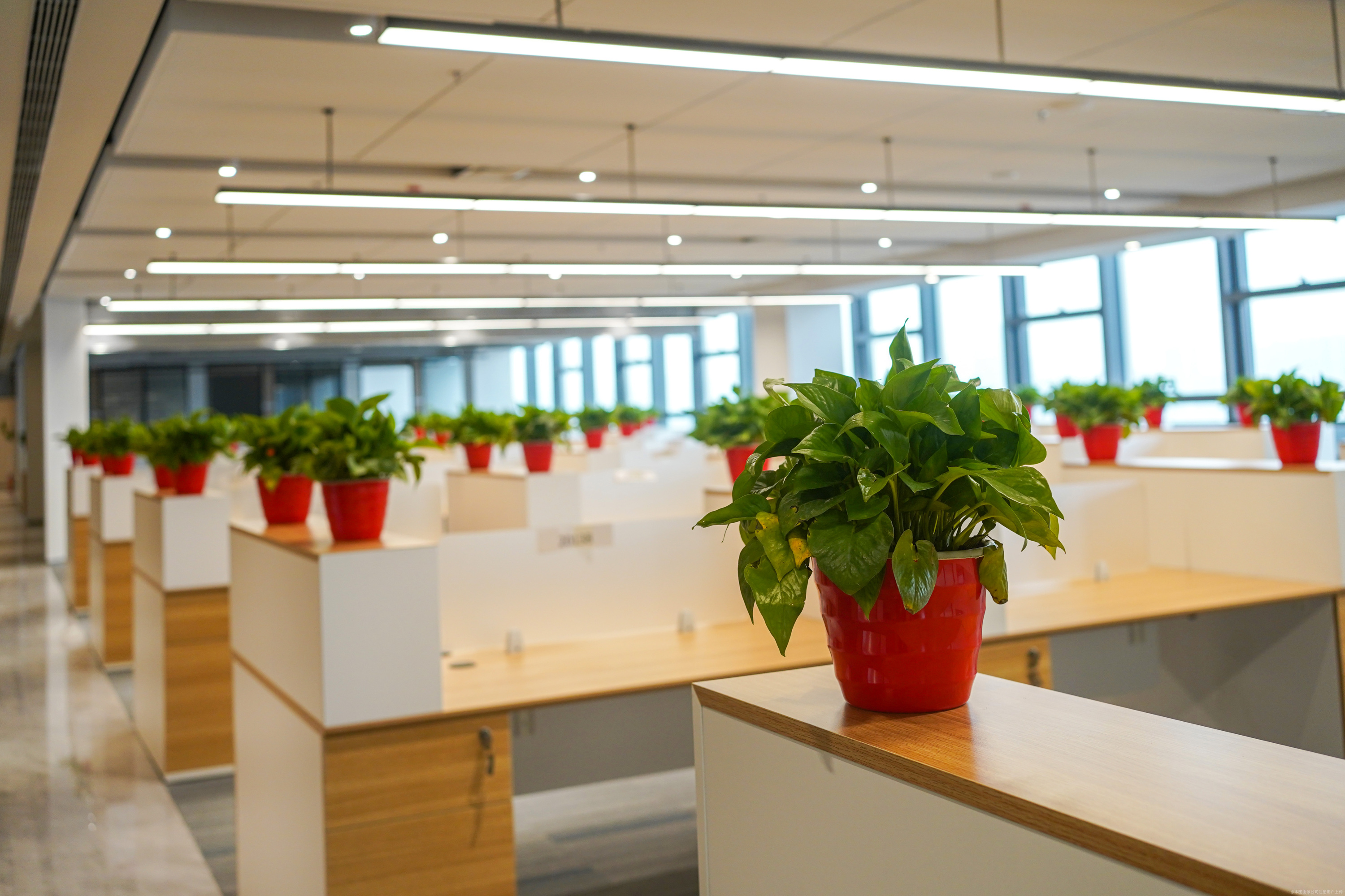 雷赛智能:拟向特定对象增发募资不超过约11.44亿元