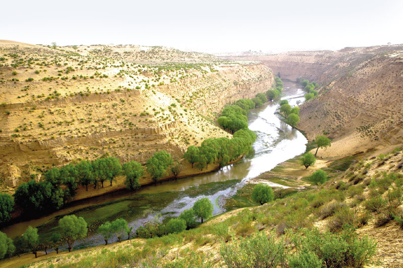 内蒙古地质矿产集团有限责任公司副总经理张韦接受审查调查