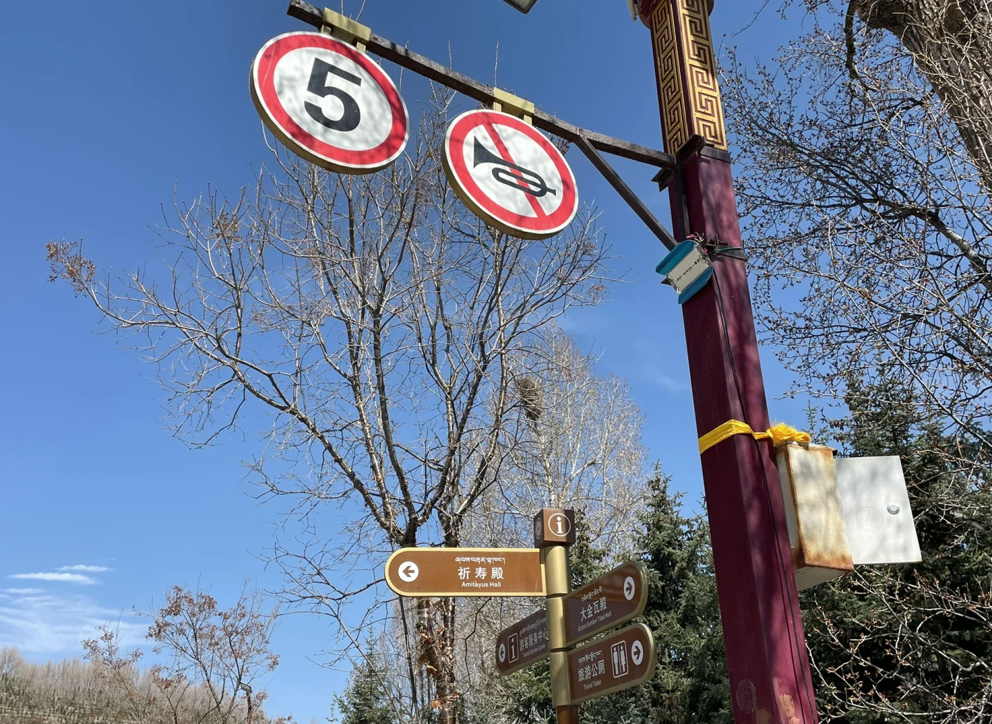 塔尔寺燃灯日吸引青年“云”祈福